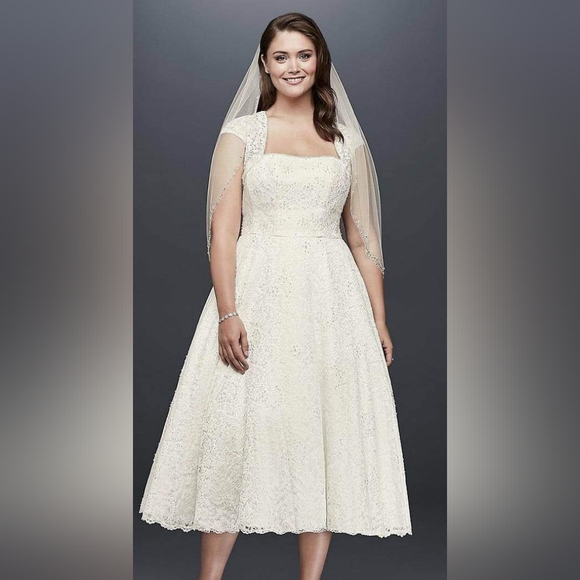 David's Bridal Wedding Dress, Size 16W - Picture 12 of 12